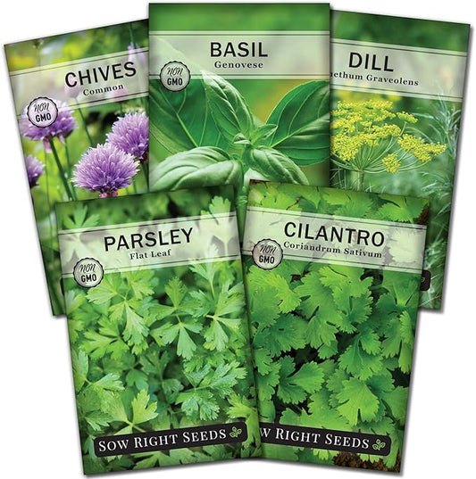 Sow Right Seeds - 5 Herb Seed Collection for Planting - Genovese Basil, Chives, Cilantro, Italian Parsley, and Dill to Plant and Grow a Home Vegetable Garden - Fresh Assortment Herbal Variety Pack
