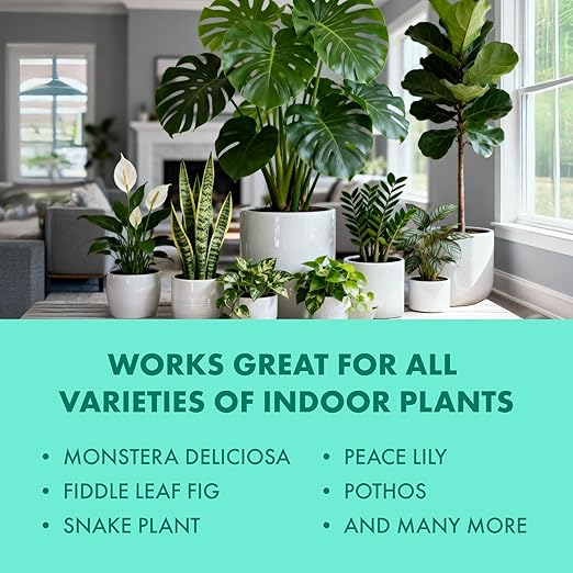 Indoor Plant Food, Liquid Fertilizer for Healthy Growth & Vibrant Foliage in Houseplants, by TPS Plant Foods, 8 oz (250 mL)