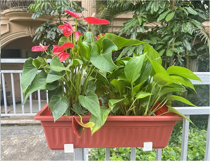 Balustrades Flower Box Supports, Planter Box Supports, Window Box Supports (6 Inches)，for Balustrades, Terraces, Decks, Balconies, Fences (White 2 PCS)