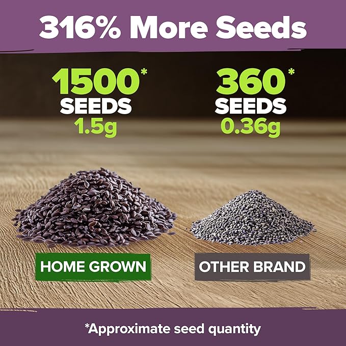 HOME GROWN English Lavender Seeds 1,500+ Non GMO Wildflower Seed for Planting Indoor/Outdoor, High Germination, Plant Flower Seeds (Lavandula antustifolia)