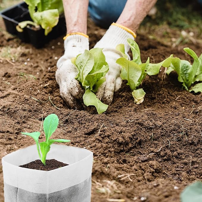 200Pcs Nursery Growing Bags, 5.8"x5" Small Grow Bag for Plants, Fabric Plant pots, Potato, Flower, Tomato Solid Seed Starter