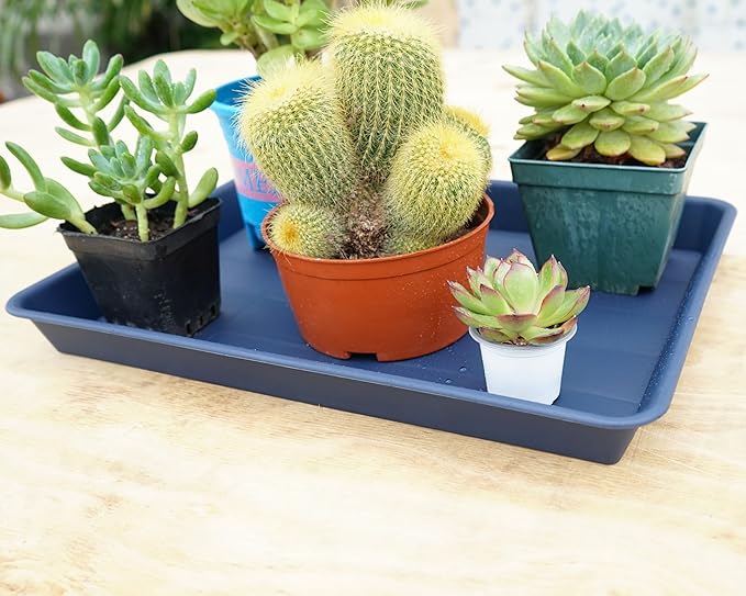 2 Pack Plant Growing Nursery 1020 Trays, Plant Saucer Tray, Heavy Sturdy Seed Starting Trays, Plant Starter Trays for Indoors No Holes, Seed Starter Growing Tray (22"x11.2", Blue)