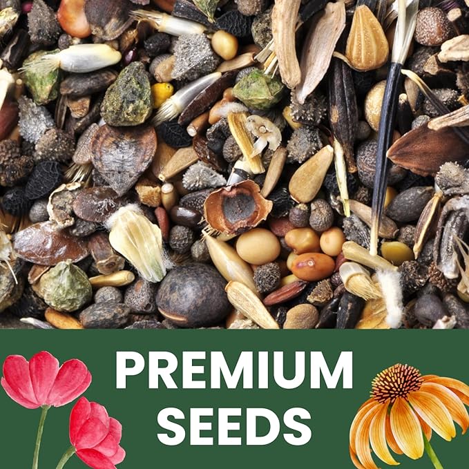 Hummingbird Butterfly Mix - Bulk 1/4 Pound Pouch - 30,000 Flower Seeds for Planting - Wildflower Mix
