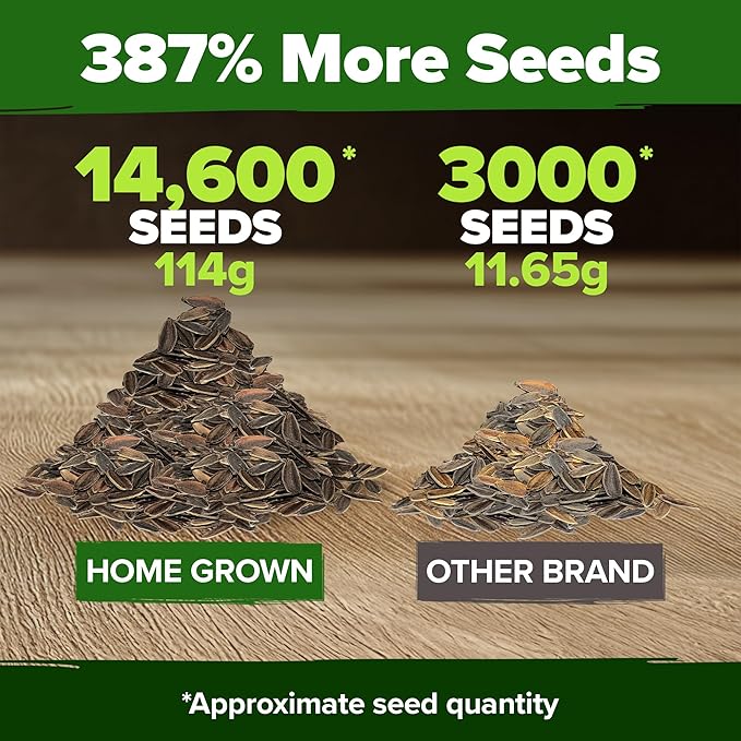 HOME GROWN Zinnia Seeds for 2026 - California Giant Mix - 14,600+ (4 oz) Plant Wildflower Blooms – Bulk Seeds for Planting Flowers Outside - Pollinator Gardens (Zinnia elegans)