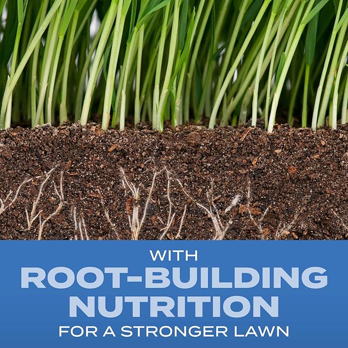 Scotts Turf Builder Grass Seed Sun & Shade Mix with Fertilizer and Soil Improver, Thrives in Many Conditions, 5.6 lbs.