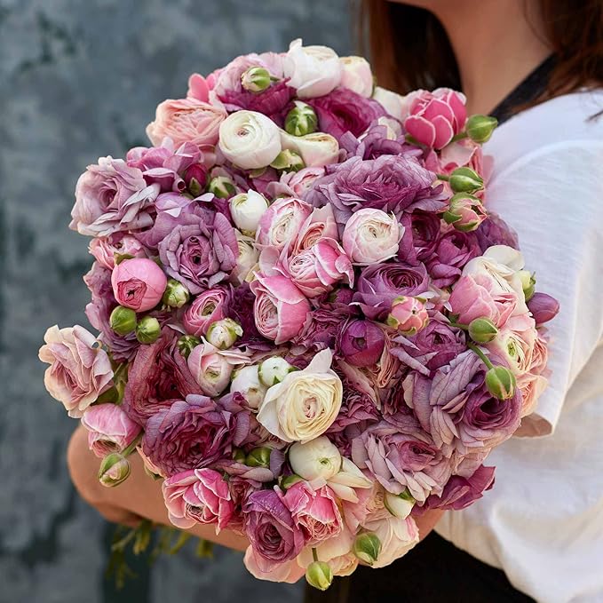 Eden Brothers Ranunculus Bulbs - Secret Garden Mix