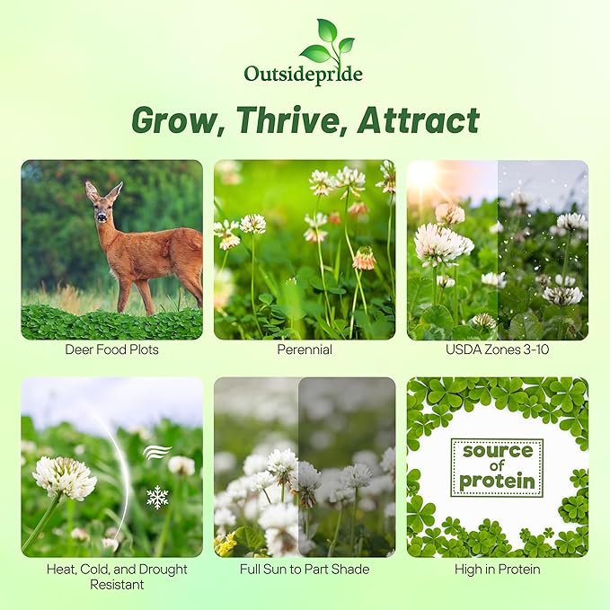 Outsidepride Perennial Clover King Seed Mix - 5 lbs Nitrocoated, Inoculated, Heat & Cold Tolerant, Alfalfa-Enhanced Food Plot Seeds for Deer & Wildlife, Ideal for Spring, Summer, & Winter Food Plots