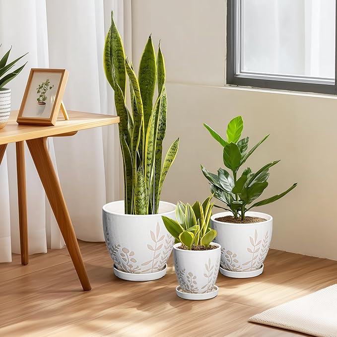 10 Inch Indoor Planter with Saucer - Boho Ceramic Plant Pot with Drainage for Indoor Plants, Large Flower Pot, Home Office Garden Room Decor, Plant Lovers Gifts, White
