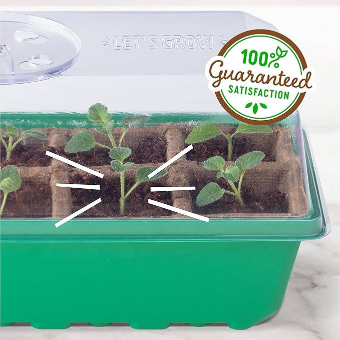 Back to the Roots 10-Cell Greenhouse Germination Kit | Includes Biodegradable Pots & Vented Greenhouse Lid | Made from 75% Recycled Plastic