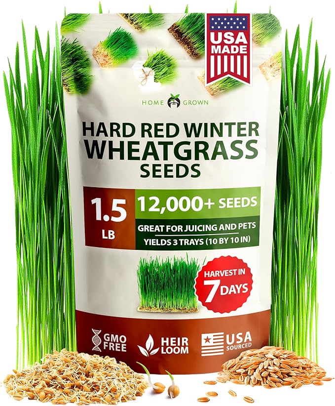 HOME GROWN 12,000+ Wheatgrass Seeds Bulk Pack(1.5 lb) Hard Red Winter Wheatgrass – Heirloom, Sprouting for Juicing, Microgreens, Smoothies & Indoor Gardening(Triticum aestivum)