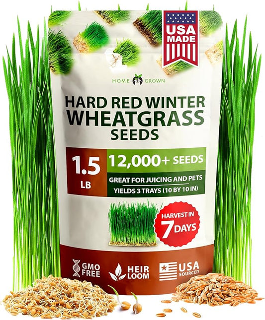 HOME GROWN 12,000+ Wheatgrass Seeds Bulk Pack(1.5 lb) Hard Red Winter Wheatgrass – Heirloom, Sprouting for Juicing, Microgreens, Smoothies & Indoor Gardening(Triticum aestivum)
