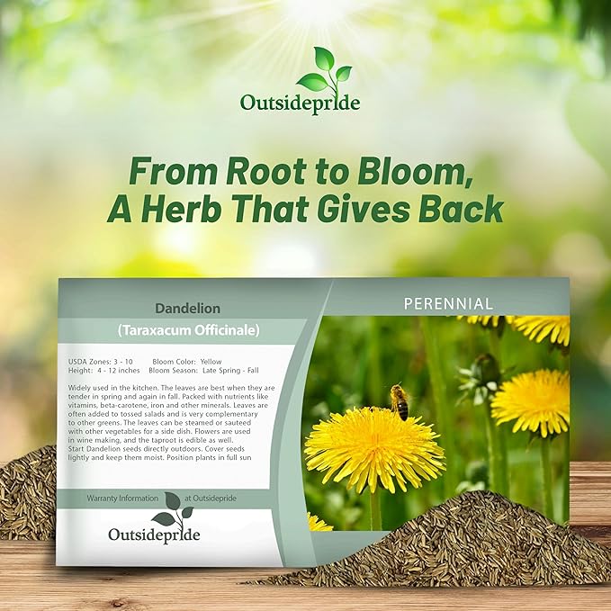 Outsidepride Dandelion Seeds for Planting - 5,000 Seeds Perennial, Easy to Grow & Drought Tolerant, Taraxacum Officinale Herb Seeds with Yellow Blooms for Edible Landscaping & Wildlife Attraction