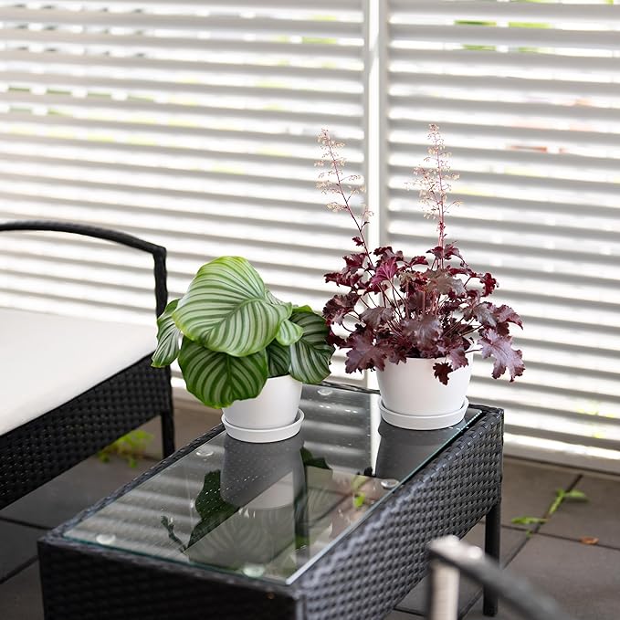 UNBREAKABLE Plant Pots Set of 2, Advanced Eco-Poly Planters with Drainage & Saucers, 6.5" + 5.5" Plastic Pots - Designer Indoor & Outdoor Décor and a Great Gift for Plant Lovers - Ventura Mist White