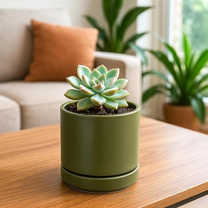 D'vine Dev Set of 4 Small Ceramic Plant Pots, 4.7 Inch Succulent Planter Pot for Plants with Drainage Hole and Saucer, Olive, 94-X-B-0