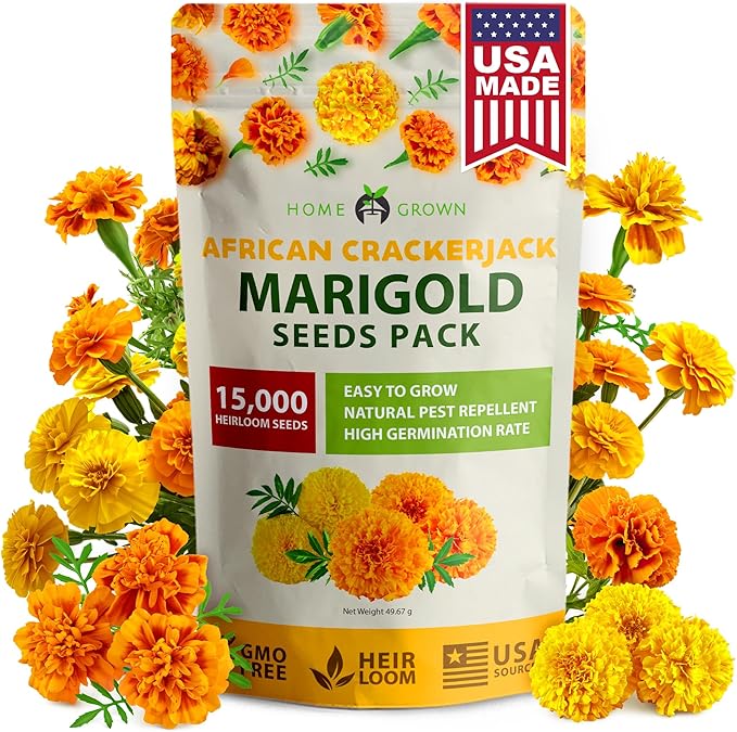 HOME GROWN Crackerjack Marigold Seeds 2.05oz - 15,000 Flower Seeds Planting Outdoor, Large Bulk Pack, Sourced, High Germination, Companion Planting, Orange (Tagetes erecta)