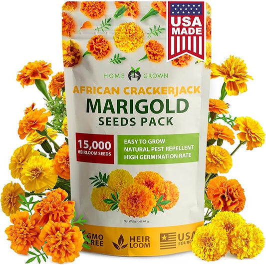 HOME GROWN Crackerjack Marigold Seeds 2.05oz - 15,000 Flower Seeds Planting Outdoor, Large Bulk Pack, Sourced, High Germination, Companion Planting, Orange (Tagetes erecta)