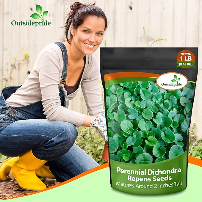 Outsidepride Perennial Dichondra Repens Seeds - 1 lb Dense Green, Low-Maintenance Ground Cover Seeds for Planting, Ideal Lawn Alternative in Sun or Shady Areas & Erosion Control in USDA Zones 8-11