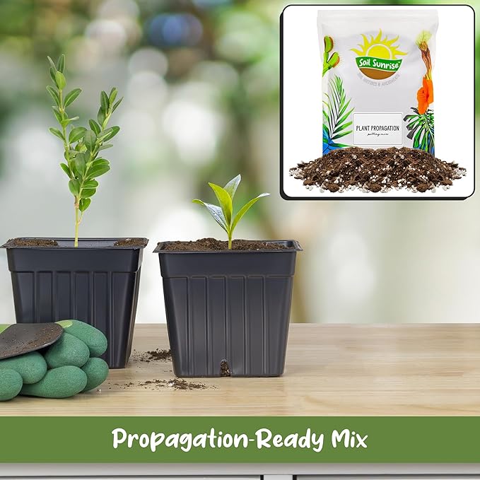 Soil Sunrise Plant Propagation Potting Mix (4 Quarts) Ideal Starter Mix for Rooting Plant Cuttings