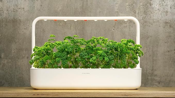 Click and Grow Curly Parsley Plant Pods for Smart Garden, 9-Pack