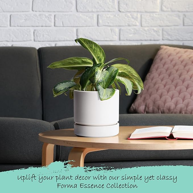 6 Inch Modern Plastic Round Pots for Indoor Houseplants and Herbs, Pack of 3 Planter Pot with Drainage Hole & Saucer, Deep Water Catch Tray, Straight Cylindrical Pot for Plants, Matte White, 23-D-S-1