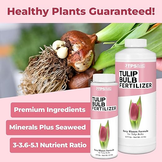 Tulip Bulb Fertilizer, Complete Liquid Tulip Bulb Plant Food, 8 oz (250mL)