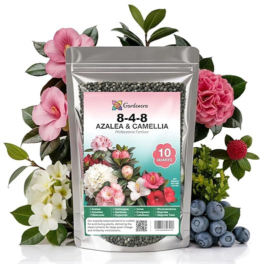 𝐁𝐄𝐒𝐓𝐒𝐄𝐋𝐋𝐄𝐑 Premium 8-4-8 Acidic Fertilizer for Azaleas, Camellias, Hydrangeas, Blueberries, Gardenias, Magnolia Trees, Evergreens and Rhododendrons - Ideal Iron-Rich Plant Food - 10 QUARTS
