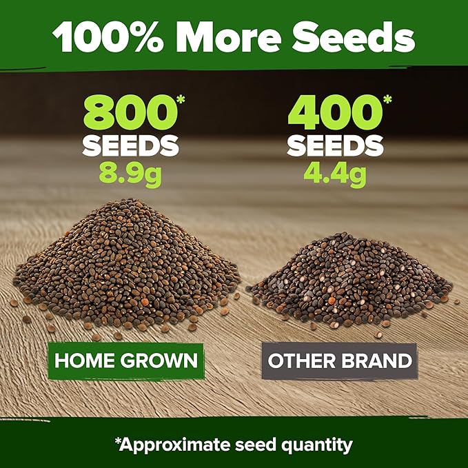 HOME GROWN Cherry Belle Radish Seeds 800+ Non GMO Heirloom Vegetable Seeds for Planting Outdoors Harvest in 30 Days Red Radishes, Spring and Fall Gardens (Raphanus Sativus)