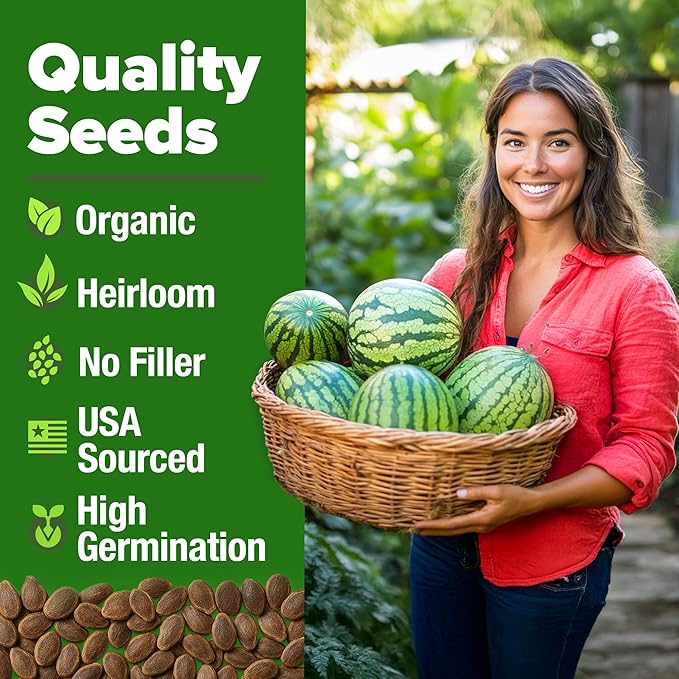 HOME GROWN Watermelon Vegetable Seeds (Crimson Sweet) – 15 Non-GMO, Heirloom Water Melon (7g) for Planting in Home Gardens or Beds Outdoors – Citrullus lanatus