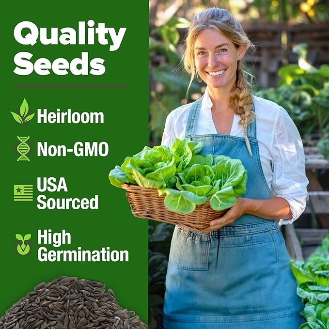 HOME GROWN Buttercrunch Lettuce Seeds Bulk Pack - 1975 Heirloom Seeds for Hydroponic Garden Indoor Outdoor - Butter Lettuce Vegetable for Planting (Lactuca Sativa)