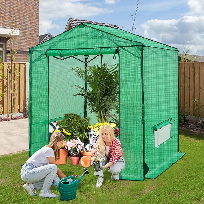 6x6 Pop Up Walk-in Greenhouse, Indoor & Outdoor PE Cover Green House w/ Power Access Ports, Roll-up Zippered Doors and Windows, Green