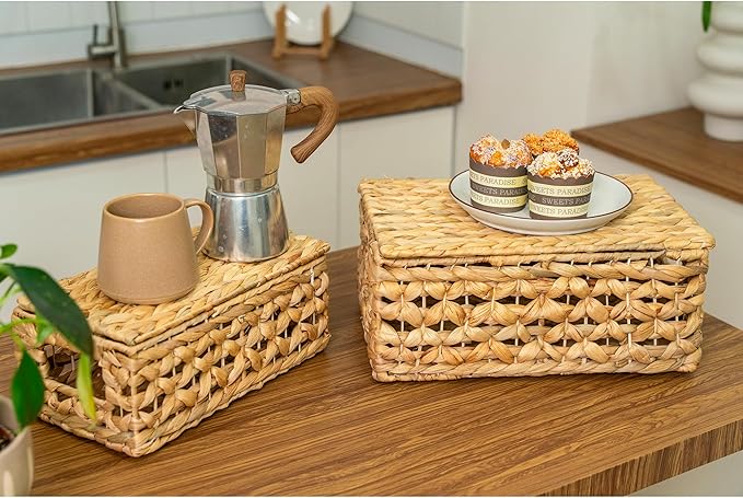 Set of 2 Decorative Storage Boxes with Lids, Wicker, Decorative for Home Decor, Seagrass