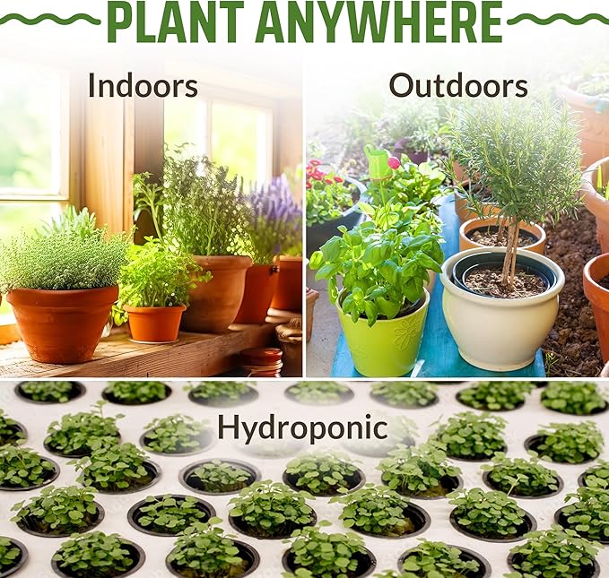 17 Herb Culinary Seed Vault – 5200+ Heirloom Seeds for Indoor/Outdoor or Hydroponic Gardens – High Germination | Cilantro, Mint, Chives, Basil, Parsley & More
