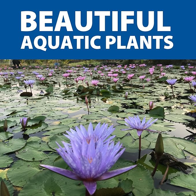 The Pond Guy Planting Bags for Backyard Water Gardens, Durable Mesh Planter Pot for Lily & Bog Plants, Grow Healthy Aquatic Plants, 7-Inch Square