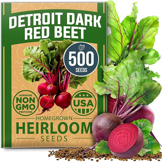 HOME GROWN Detroit Dark Red Beet Seeds Pack - 500 Heirloom Vegetable Seeds for Planting - Red Beet for Home Garden – High Germination(Beta vulgaris)