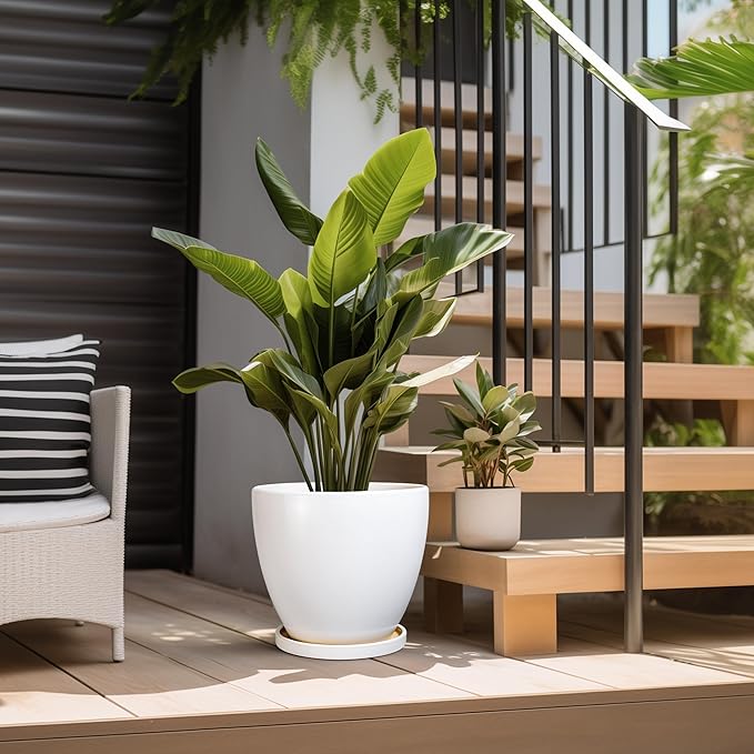 Ceramic Planter - 10 Inch Plant Pot with Drainage Hole and Tray, Flower Pot Planters for Indoor Plants, Modern Room Garden Patio Bathroom Living Room Porch Home Decor， White