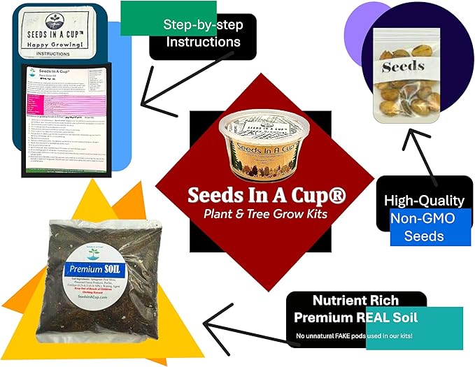 English Ivy Plant Starter Kit – Seeds In A Cup® Mini Greenhouse Indoor Gardening Kit for Beginners Easy Grow Ivy Seeds Clear Lid Planter Gift for Plant Lovers & Kids Made in USA