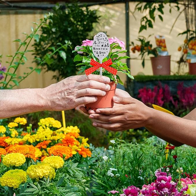 2 Packs Garden Marker Friendship Gift, Metal Spoon Plant Markers, Plant Label Gift, Creative Plant Markers Spoon for Plants Herbs or Flowers DIY Sign Plant Labels (I Wish You Live Next Door)
