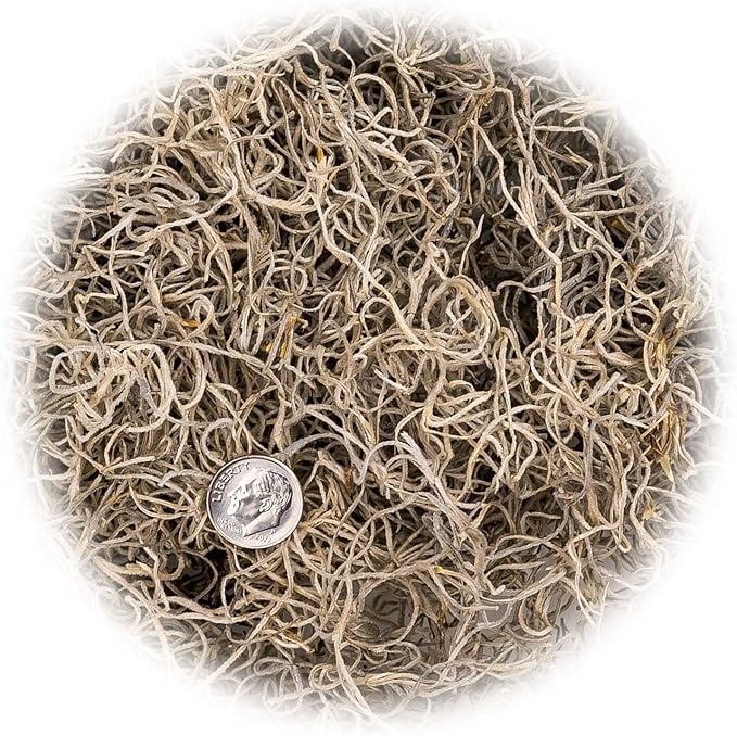 Gardenera Premium Natural Spanish Moss | Natural Preserved - Great Ground Cover - Filler for Potted Plants - 5 Quart Bag