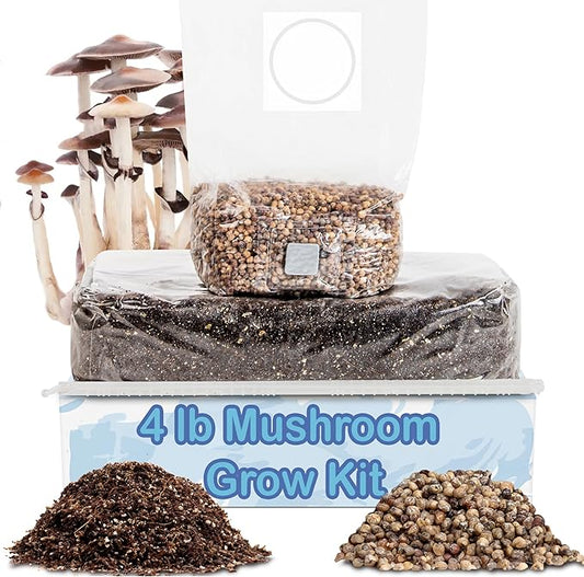 Surfin' Spores Mushroom Grow Kit | 4 lb Grow-in-Bag Kit/Monotub Refill | Includes: 1 lb Sterile Grain Bag with Injection Port & 3 lb Organic CVG Substrate | Spores Not Included (Two Pack)