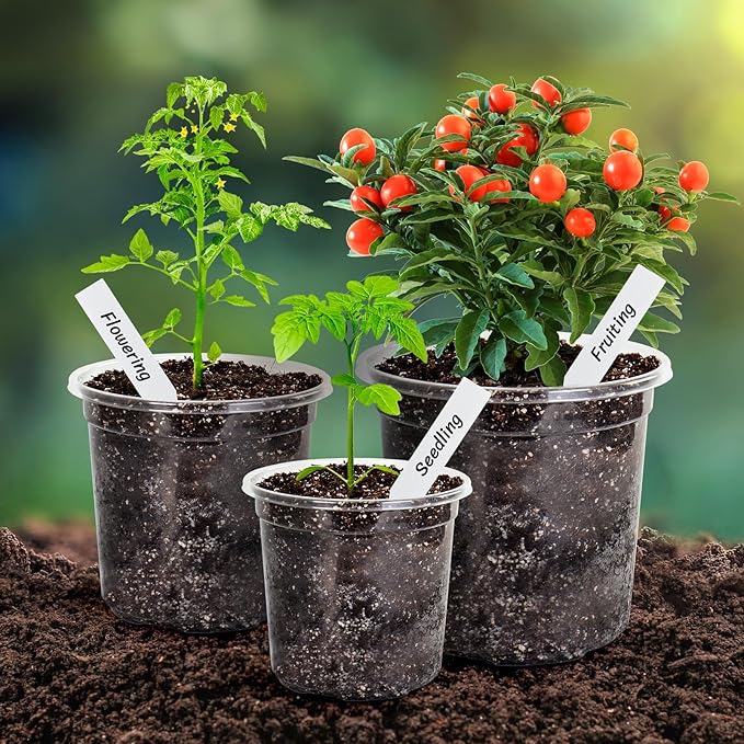 Bonviee 30 Packs 6.7/5/4 Inch Clear Nursery Pots for Plants, Plastic Seedling Pots with Drainage Holes, Planters for Indoor Plants and Transparent Seed Starter Pots with 10 Plant Labels