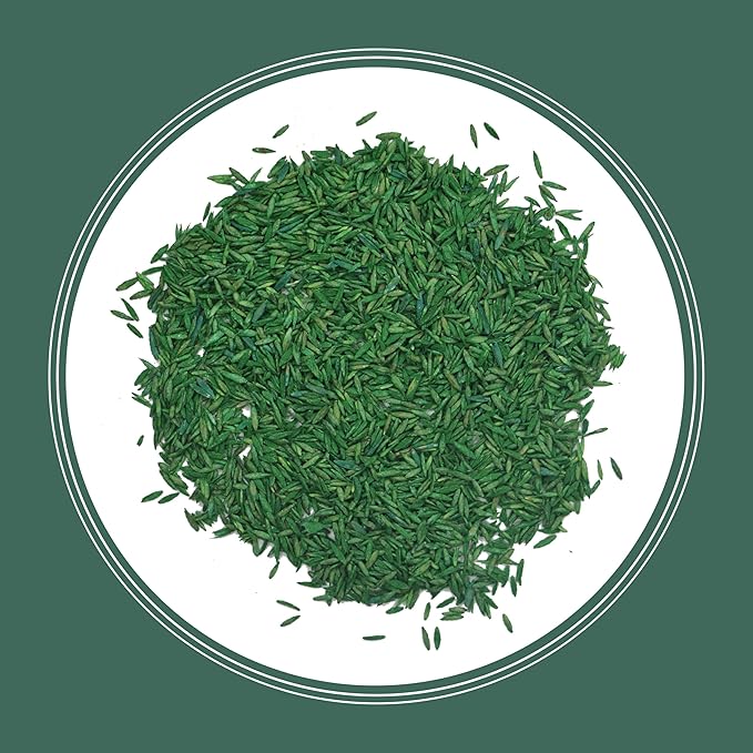 Pennington Kentucky 31 Tall Fescue Penkoted Grass Seed 7 lb