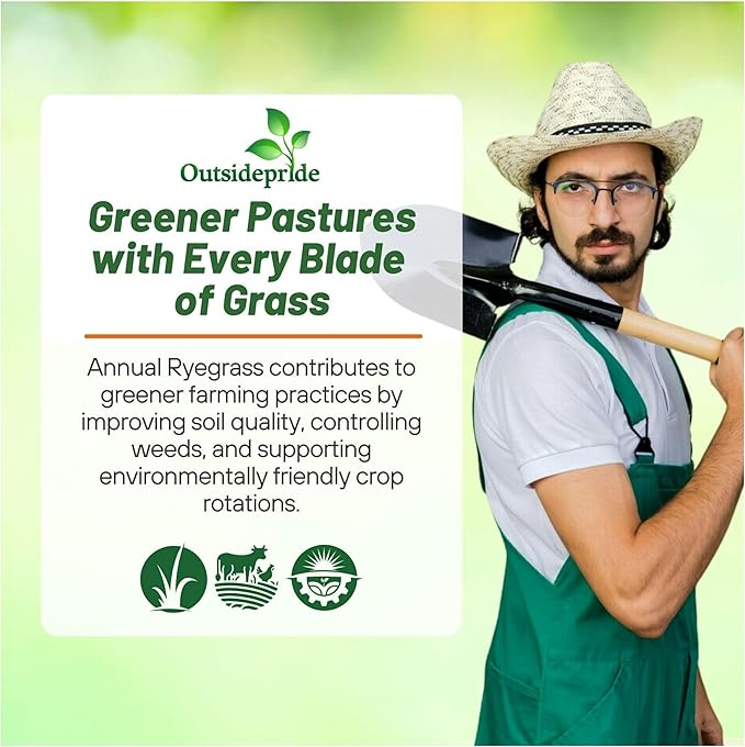 Outsidepride Ryegrass Seeds - 50 lb. Annual, Hardy & Fast-Growing, Cover Crop Seeds for Planting Glossy Dark Green Grass Leaves, Ideal for Hay Foraging, Pasture Grazing & Erosion Control