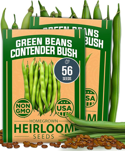 HOME GROWN Contender Bush Seeds - 56 𝗡𝗢𝗡-𝗚𝗠𝗢 𝗨𝗦𝗔-𝗦𝗢𝗨𝗥𝗖𝗘𝗗, Heirloom Green Beans for Planting - Emergency Food Supply (Phaseolus vulgaris)