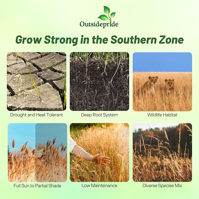 Outsidepride Perennial Tall Native Grass Seed Mix - 5 lbs. Blend of Drought-Tolerant, Low-Maintenance Bluestem, Switchgrass & Indian Grass Seeds for Wildlife Habitat, Erosion Control & Landscaping