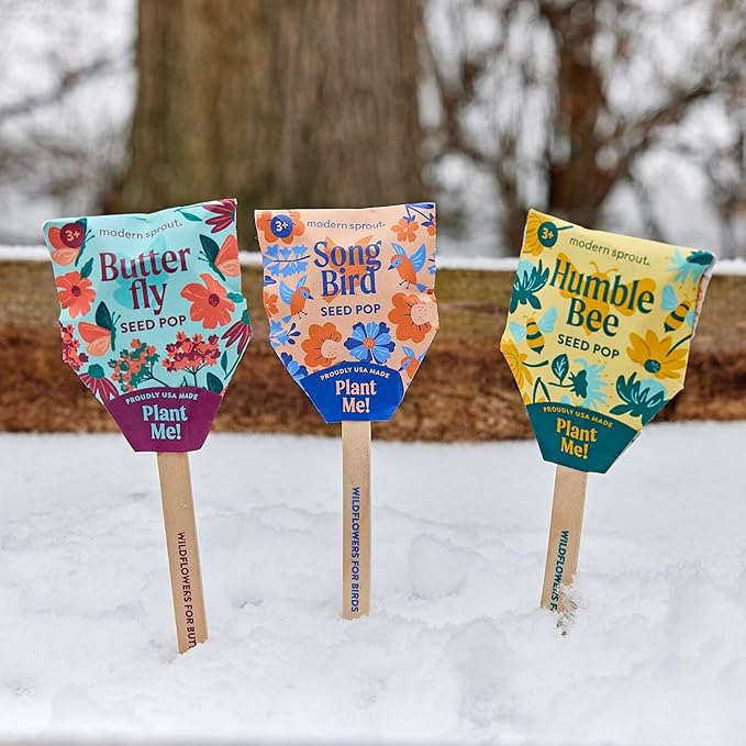 Modern Sprout Seed Pops - Organic Non-GMO Humble Bee, Butterfly & Song Bird Wildflower Seeds - Fun Family Activity - Ideal for Indoor & Outdoor - Gift for Kids, Adults & Plant Lovers (Pack of 12)