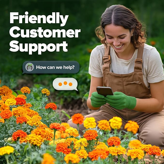 HOME GROWN Petite French Marigold Seeds 329+ Flower Seeds for Planting Outdoors Easy to Grow Companion Plant & Quick Blooming Pollinator Heirloom Wildflower Seed (Tagetes patula)
