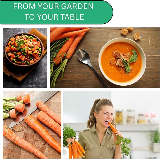 Woods Creek Seeds: Tendersweet Carrot Seeds for Planting - Over 2,900 Heirloom Carrot Seed Pack - Non-GMO Carrots Seeds for Planting Outdoors or Indoors - Beginner Friendly Vegetable Gardening