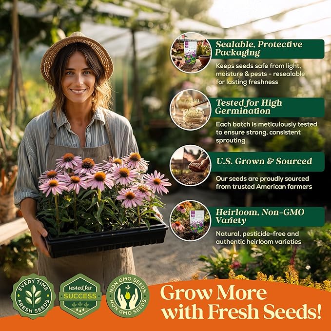 Echinacea Seed Pack 4 oz - 37,500 Non-GMO Heirloom Echinacea Seeds for Planting, Perennial Flowers in Waterproof Seed Packet, Coneflower Seeds for Planting Garden Indoor & Outdoor Gardening