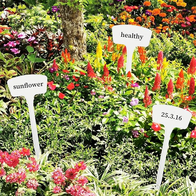 100 Pcs Plant Labels,T-Type 10.63inch Large Plastic Plant Tags Waterproof Plant Makers Nursery Garden Labels for Outdoor Indoor Plants Herbs Flowers Vegetable Potted Belt Marker Pen (White)