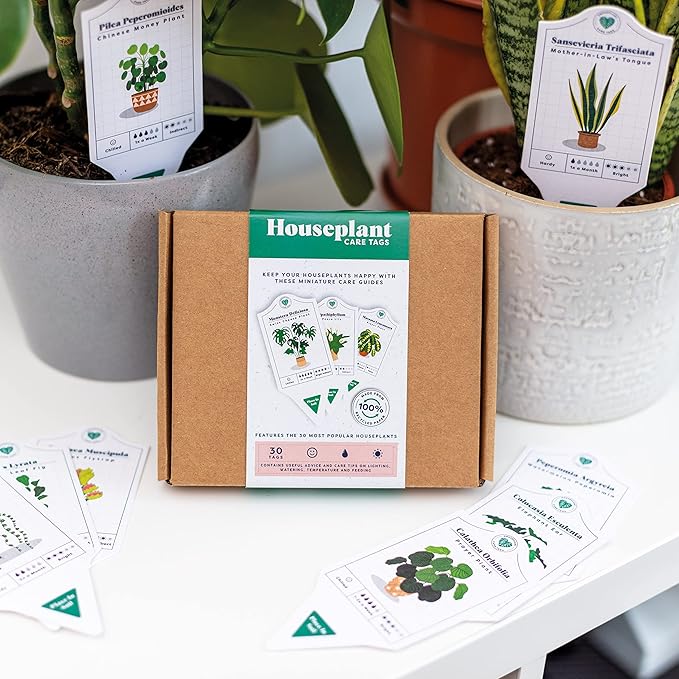 Bubblegum Stuff - Houseplant Care Tags - 30 Plant Species | Indoor Plants - Home Accessories | 100% Recycled Paper - Dimensions 13.7x6cm…